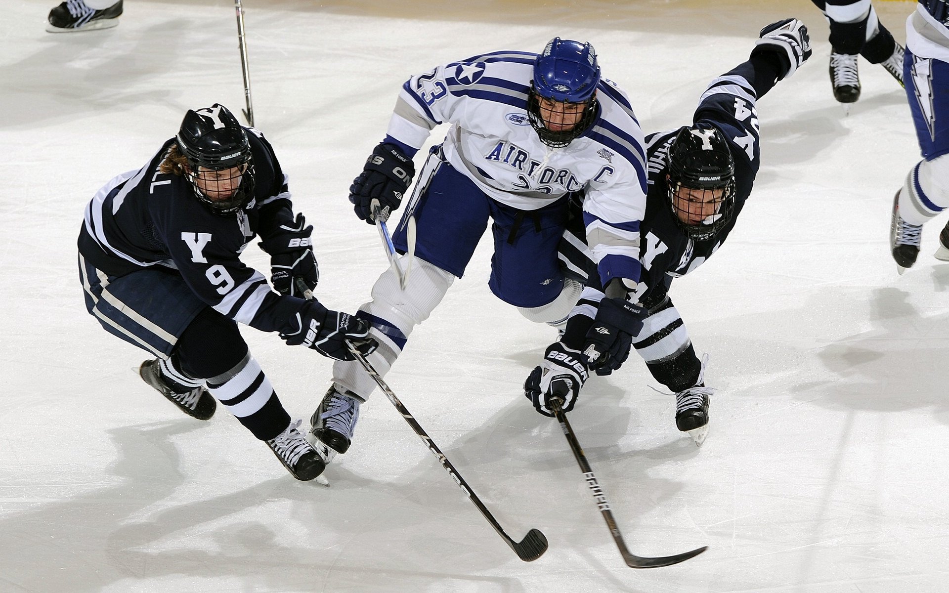 体育新闻中心通报体育场馆数字化改造成效，体育场馆信息化建设