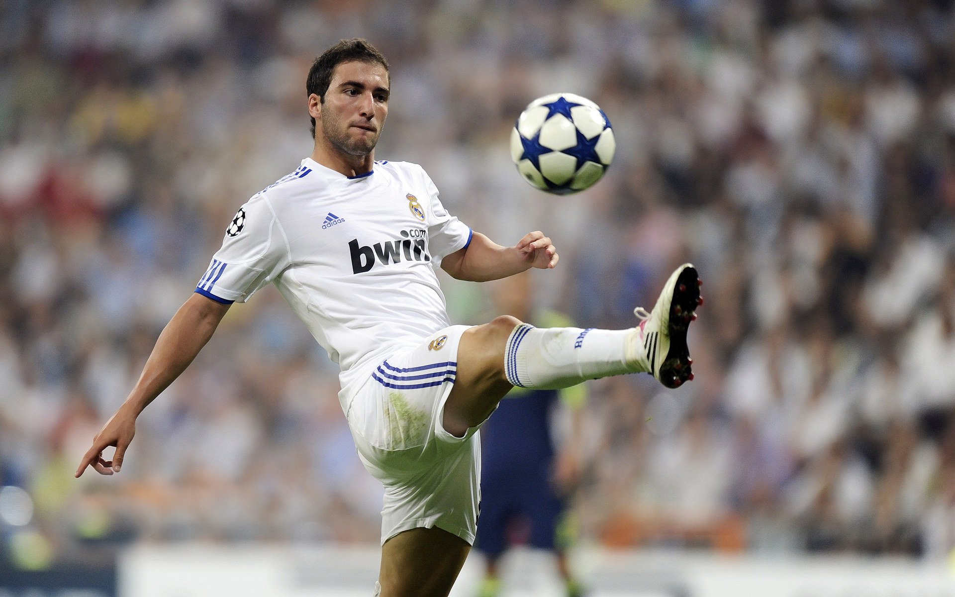 德甲球员基于脑电反馈进行情绪抑制训练的实证评估,基于脑电的情绪识别